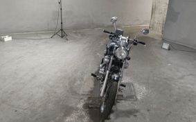 YAMAHA VIRAGO 250 3DM