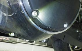 HARLEY FXDL 1580 2016