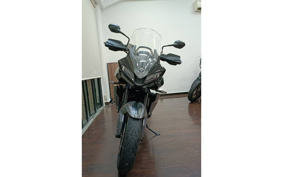 TRIUMPH TIGER SPORT 660 2024 LGL20U