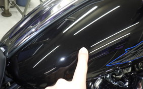 HARLEY FXLRST1920 2026