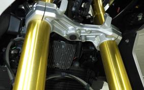 BMW G310GS 2021
