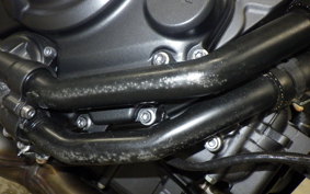 YAMAHA MT-07 2024 RM33J
