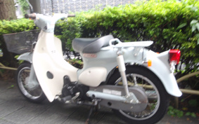 HONDA LITTLE CUB AA01