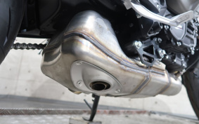 YAMAHA XSR900 GP 2026 RN96J