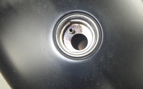 HARLEY XL883N 2020