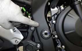 KAWASAKI ZX-4RR 2025 ZX400P