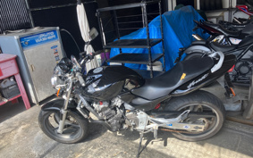 HONDA HORNET 250 MC31