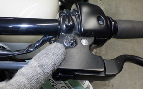 HARLEY XL1200N 2010