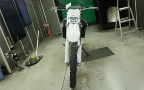 YAMAHA WR250R 2006 DG15J