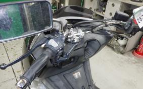 YAMAHA MAXAM 250 2024 SG17J