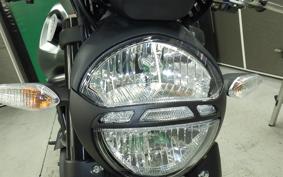 DUCATI MONSTER 1100 EVO 2013