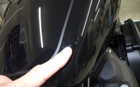 HARLEY FXBB1750 2017