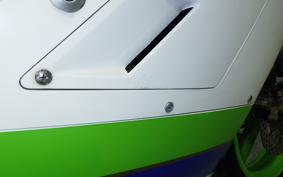 KAWASAKI KR-1 KR250B