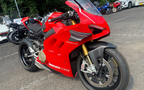 DUCATI PANIGA-REV4R 2019