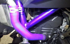 YAMAHA MT-25 RG10J