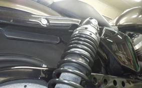 HARLEY XL883N 2020