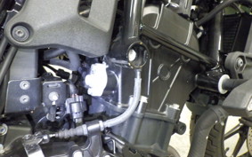 KAWASAKI ELIMINATOR400-3SE 2024 EL400A