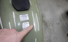 KAWASAKI W175 TR