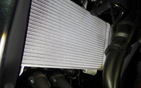 YAMAHA YZF R-3 2021 RH13J