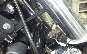 HARLEY XL883N 2017
