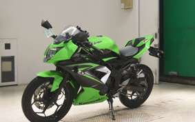 KAWASAKI NINJA 250 SL 2010 BX250A