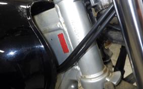 SUZUKI ST250E NJ4CA