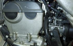 SUZUKI RM-Z250 2021