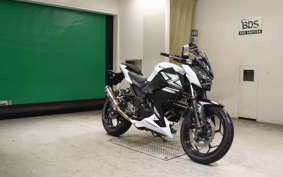 KAWASAKI Z250 2007 ER250C