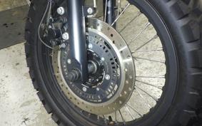 OTHER MUTT250 2024