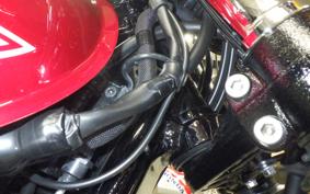 KAWASAKI W800 2022 EJ800E
