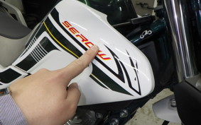 YAMAHA SEROW 250 Gen.3 2025 DG31J