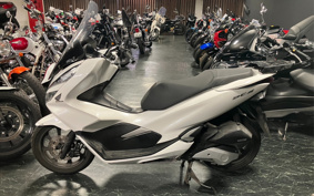 HONDA PCX 125 JF81