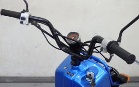 HONDA ZUMAR AF58