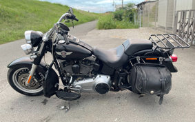 HARLEY FLSTFB 2009 JN5