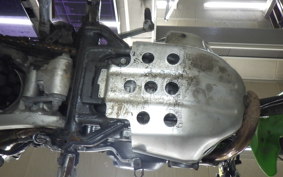 KAWASAKI SUPER SHERPA 2021 KL250G