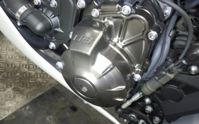 YAMAHA XSR900 GP 2024 RN96J