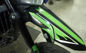 KAWASAKI KLX250D TRACKER X 2019 LX250V