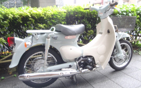 HONDA LITTLE CUB AA01