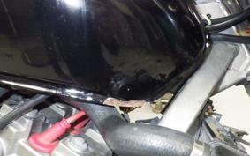 HONDA HORNET 250 2008 MC31