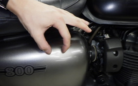 KAWASAKI W800 STREET 2019 EJ800B