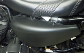 HARLEY XL883N 2009