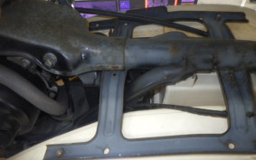 HONDA ZOOK 2024 AF26