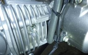 HONDA MONKEY 125 2005 JB05