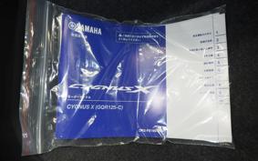 YAMAHA CYGNUS 125 X 2019 SEM5J