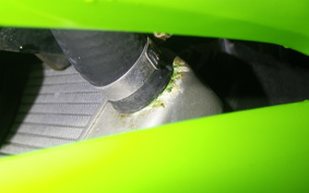 KAWASAKI NINJA 250R 2010 EX250K