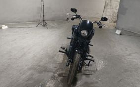 HARLEY FXLRS1870 2021 YWK