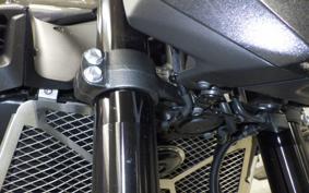 KAWASAKI Z900 2025 ZR900S
