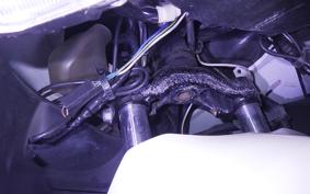 HONDA PCX 125 2008 JF28