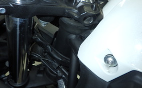 KAWASAKI NINJA 650 A 2022 ER650H