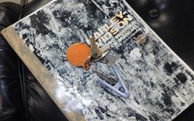 HARLEY FLHTC 1340 1993